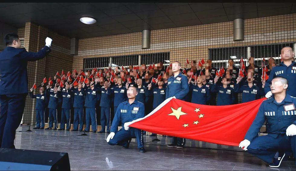 敏捷的白球